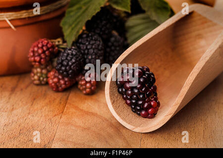 BlackBerry im Löffel Stockfoto