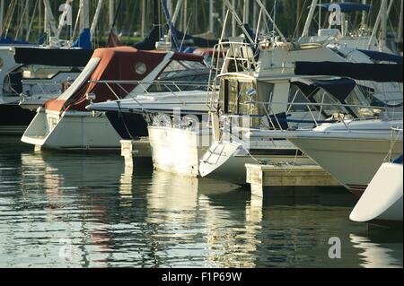 Marina - kleine Segelboote vor Anker in einem Chicago Boat Marina. Horizontale Foto. Sommertag. Erholung-Foto-Sammlung Stockfoto