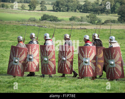 Hadrian Wall Live! -Die großen römischen Soldaten-Veranstaltung.  Birdoswald, Cumbria, 5. September 2015. Stockfoto