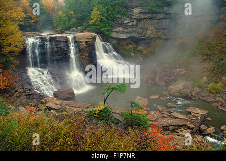 Blackwater fällt in Blackwater Falls State Park, Davis, West Virginia, USA Stockfoto