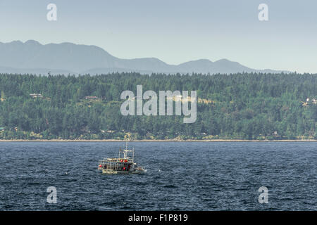 Krabben Sie-Boot "Golden Ocean" südlich von Nanaimo, Vancouver Island, Britisch-Kolumbien Stockfoto