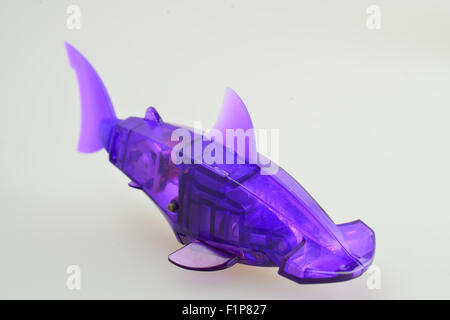 Aquabot lila mechanische Fisch Stockfoto