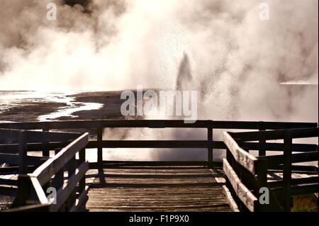 Black Sand Basin Yellowstone-Nationalpark. Ausbrechenden Geysir vor Sicht. US-Nationalparks-Foto-Sammlung Stockfoto