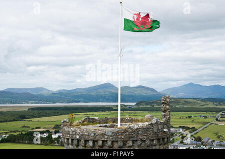 Die walisische Flagge fliegt von einem Turm in Harlech castle Stockfoto
