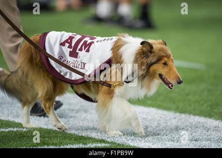 Houston, TX, USA. 5. Sep, 2015. Texas A & M Aggies Maskottchen geht Reveille IX an der Seitenlinie vor der NCAA Football-Spiel zwischen den Texas A & M Aggies und die Arizona State Sun Devils NRG-Stadion in Houston, TX. Trask Smith/CSM/Alamy Live-Nachrichten Stockfoto