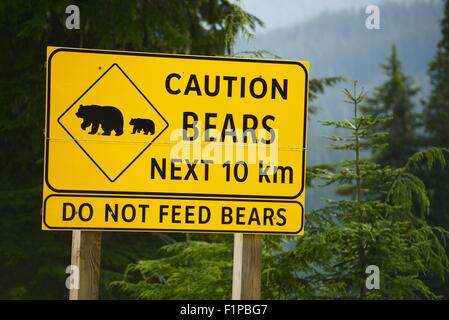 Achtung Bären nächsten 10km - Bären nicht füttern. Straße Seite gelb unterzeichnen in British Columbia, Kanada. Stockfoto