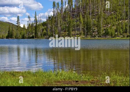 Twin Lakes Yellowstone-Nationalpark, Wyoming, Vereinigte Staaten von Amerika Wyoming Wildnis. Natur-Foto-Sammlung. Stockfoto