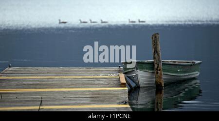 Altes Boot auf See - Holz Dock. Crescent Lake, Washington State, USA. Schwarze amerikanische Enten im Hintergrund. See-Thema - Natur Stockfoto
