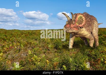 Triceratops Dinosaurier, Computer Bild. Stockfoto