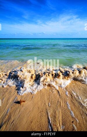 Tropische Wellen - seichten Gewässern der Florida Keys. Blauer Himmel und kristallklare Wasser. Florida Keys, USA Stockfoto
