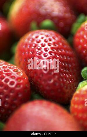 Strawberry Macro Photography. Fresh Strawberries. Vertical Photo. Stockfoto