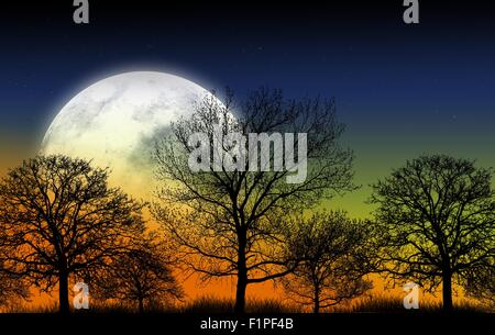 Mystic Garden Illustration. Großen Vollmond und Formen der Bäume. Natur-Illustration Stockfoto
