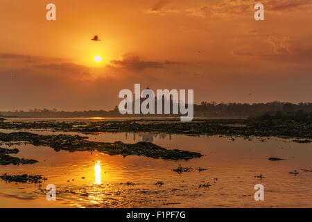 Ein Sonnenaufgang Blick des Taj Mahal in Agra, Indien. Stockfoto