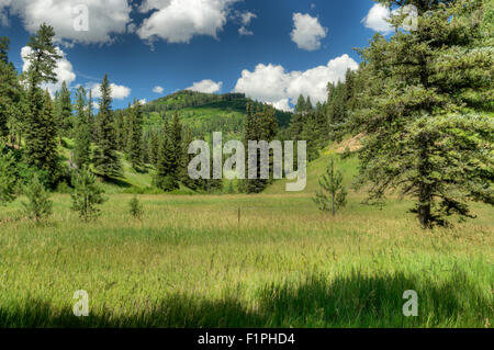 Die oberen Pecos Canyon in der Sangre De Christo Mountains gesehen vom Cowles Standort im Norden von New Mexico. Stockfoto