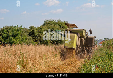 Mähdrescher auf einem Feld Hafer arbeiten Stockfoto