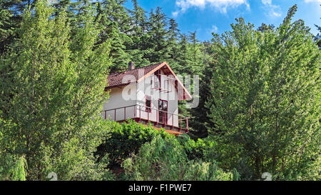 Haus zwischen Bäumen im Wald Stockfoto