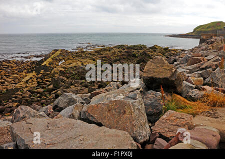 Ein Blick auf einem felsigen Ufer in der Nähe der Hafeneinfahrt in Stonehaven, Aberdeenshire, Schottland, Vereinigtes Königreich. Stockfoto