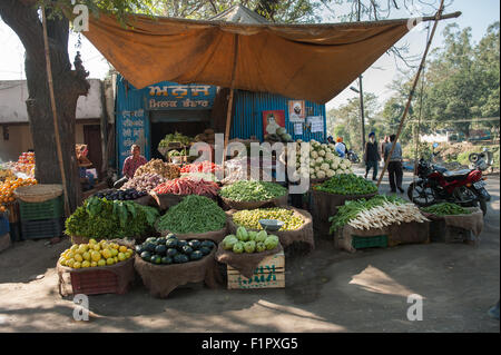 Amritsar, Punjab, Indien. am Straßenrand Marktstand verkaufen Obst und Gemüse in punjabi-Skript zu schreiben. Stockfoto