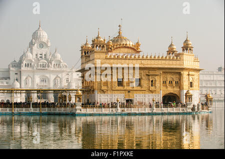 Amritsar, Punjab, Indien. Der Goldene Tempel. Stockfoto