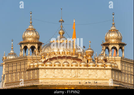 Amritsar, Punjab, Indien. Der Goldene Tempel Dach in Gold. Stockfoto