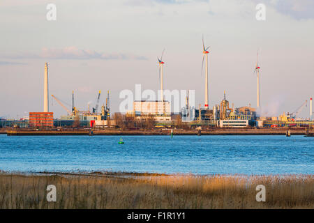 Windräder und Industrie im Hafen von Antwerpen, Belgien mit warmen Abendlicht. Stockfoto