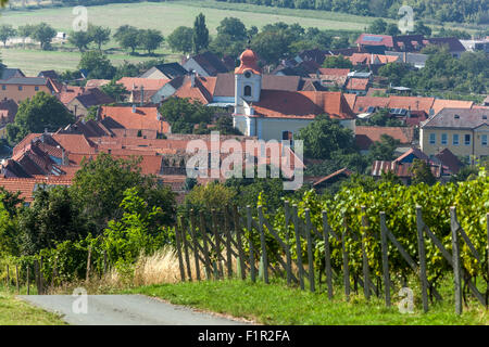 Tschechische Weinberge in der Weinregion Palava Dorf Horni Vestonice, Südmähren Weinberg in der Nähe von Mikulov, ländliche Dorf Tschechische Republik, Europa Weinbergstraße Stockfoto