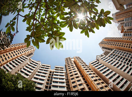 HDB Wohnungen in Singapur Stockfoto