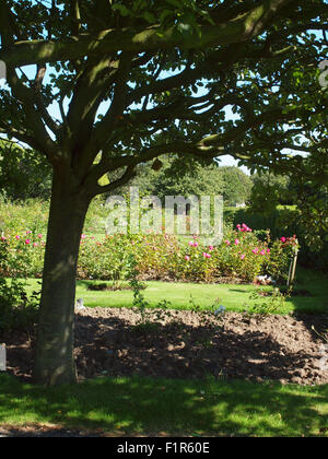 Newcastle Upon Tyne, UK. 6. September 2015, UK Wetter. Herbstliche Schönwetter in einen abgelegenen Gedenkgarten. Bildnachweis: James Walsh/Alamy Live-Nachrichten Stockfoto