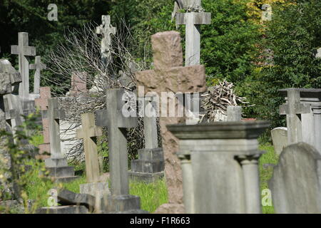 Hampstead Cemetery, Fortune Green, London Stockfoto