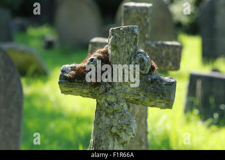 Hampstead Cemetery, Fortune Green, London Stockfoto