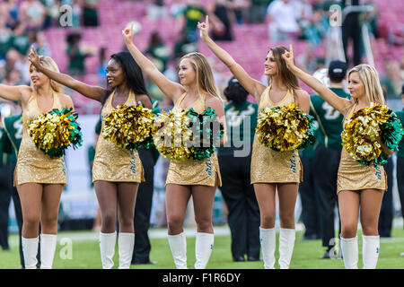 Tampa, Florida, USA. 5. September 2015. USF Cheerleader vor dem Spiel zwischen USF & Florida A & M im Raymond James Stadium in Tampa, FL Credit Bild: Del Mecum Credit: Cal Sport Media/Alamy Live News Stockfoto