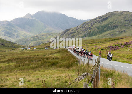 London, UK. 6. September 2015. Radfahrer fahren durch Snowdonia in Phase eins der Aviva Tour of Britain zwischen Beaumaris und Wrexham, Großbritannien am 6. September 2015. Das Rennen beginnt am 6. September in Beaumaris, Anglesey, und endet am 13 August in London, Vereinigtes Königreich. Bildnachweis: Andrew Peat/Alamy Live-Nachrichten Stockfoto