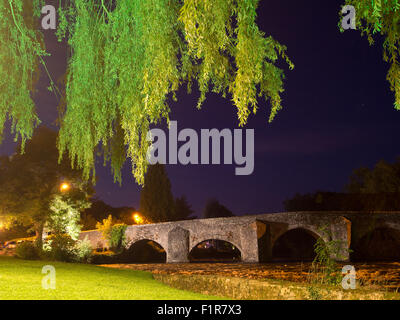 Alte Steinbrücke, nächtliche Szene mit Weiden. Bickleigh, Devon. Stockfoto