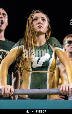 Tampa, Florida, USA. 5. September 2015. Ein USF fan intensiv beobachten das Spiel zwischen USF & Florida A & M im Raymond James Stadium in Tampa, FL Credit Bild: Del Mecum Credit: Cal Sport Media/Alamy Live News Stockfoto