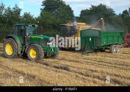 Titley, Herefordshire, England. 6. September 2015. Feine trockene Wetter ermöglicht den Landwirten, ihre Pflanzen zu ernten - Bauern entlädt sich der letztes seine Gerste Ernte aus seinen Mähdrescher in den Sammelbehälter Anhänger bevor er den Mähdrescher auf anderen nahe gelegenen Getreidefeldern. Stockfoto