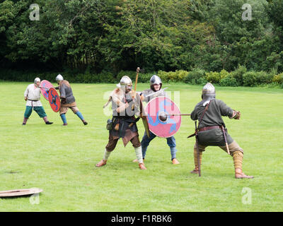 Sächsischen Krieger kämpfen Stockfoto