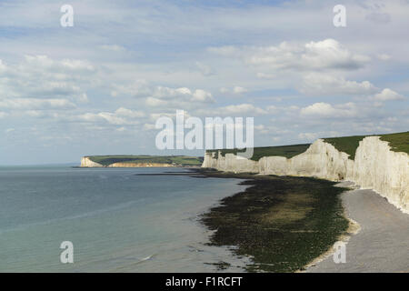 Berühmten weißen Klippen entlang der Küste von Sussex am Beachy Head. South Downs treffen den Ärmelkanal Stockfoto