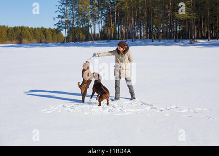 Frau spielt mit ihren Hunden an einem sonnigen Wintertag. Winterurlaub, Hund Trainingskonzept Stockfoto