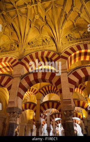 Doppelte Bögen und Decke mit alttestamentlichen Figuren in der Säulenhalle Gebet in der Moschee von Cordoba Kathedrale Stockfoto