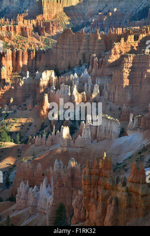 Letzten Licht auf Hoodoos unter den Rim Trail und Sunrise Point aus Queens Garden Trail in Bryce-Canyon-Nationalpark Stockfoto