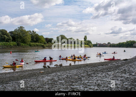 Kajak- und Kanufahren auf der Themse am Mortlake, SW14, London, UK Stockfoto