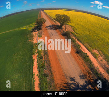 Moora, Wheatbelt Region, Western Australia. 6. September 2015. Spätwinter Regenfälle haben die Wahrscheinlichkeit der ausgezeichnete Ernten von Weizen (grün) und Raps (gelb) zum vierten Mal in Folge in Western Australia Wheatbelt Region erhöht. Im Geschäftsjahr 2014 / 15 produziert westliche australische Landwirte eine geschätzte $ 4,8 Milliarden Wert von Weizen, Raps und Gerste. Bildnachweis: Suzanne Long/Alamy Live-Nachrichten Stockfoto