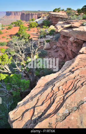 Blick von der Westseite des Grand View Point auf der Insel von den Himmel Bezirk des Canyonlands National Park in Utah Stockfoto