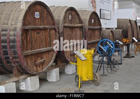 Peruanischen Pisco und Weinproduktion in den Weinbergen in der Nähe von Ica, Peru Stockfoto