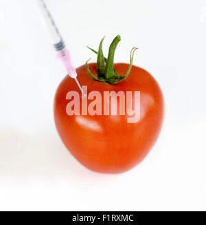 Gentechnisch veränderter Organismus Nahrung Konzept Bild. Nadel Spritze injiziert in Tomate Stockfoto