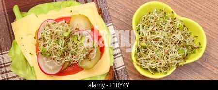 Frisch zubereitete vegetarische Sandwich und grüne Schale mit Luzerne und Radieschen Sprossen auf Holztisch liegend, Stockfoto