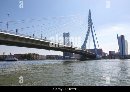 ROTTERDAM, Niederlande - 9. August 2015: Blick auf das Stadtzentrum und die Erasmusbrücke in Rotterdam, Zuid-Holland, The Net Stockfoto