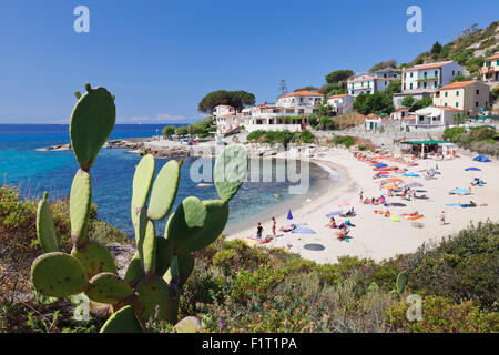 Strand von Seccheto, Insel Elba, Provinz Livorno, Toskana, Italien, Europa Stockfoto