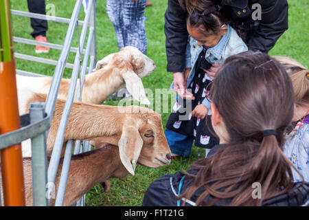 6. September 2015 - Kinder doch Ziegen im Hyde Park, Teil der RSPB initiative Stockfoto