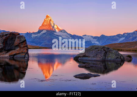 Rosa Himmel bei Sonnenaufgang am Matterhorn spiegelt sich in Stellisee, Zermatt, Kanton Wallis, Walliser Alpen, Schweizer Alpen, Schweiz Stockfoto